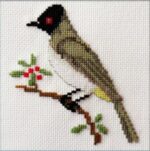 Mollink African Red-eyed Bulbul cross stitch kit
