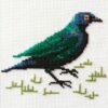 Mollink Cape Glossy Starling cross stitch kit
