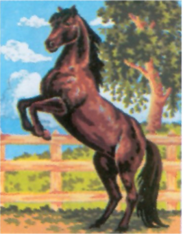 Collection D'Art 3083 Stallion Tapestry