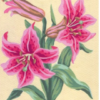Collection D'Art 3106 Pink Lillies Tapestry