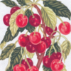 Collection D'Art 3164 Cherries Tapestry