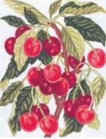 Collection D'Art 3164 Cherries Tapestry