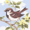 Collection D'Art 3315 Brown Bird Tapestry