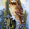Collection D'Art 6252 Owl Tapestry