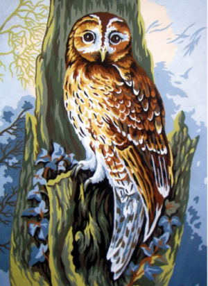 Collection D'Art 6252 Owl Tapestry