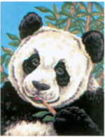 Collection D'Art 8088 Panda Tapestry