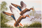 Printed Aida-PA1146 Flying Ducks