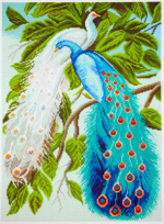 Printed Aida PA1236 Pair of Peacocks; Cross Stitch Pattern; 14 Count