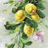 Printer Aida-PA1819 Lemon Waltz; Cross Stitch Pattern; 14 Count